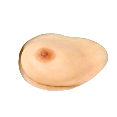 Nipple
