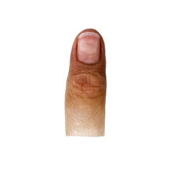 Finger