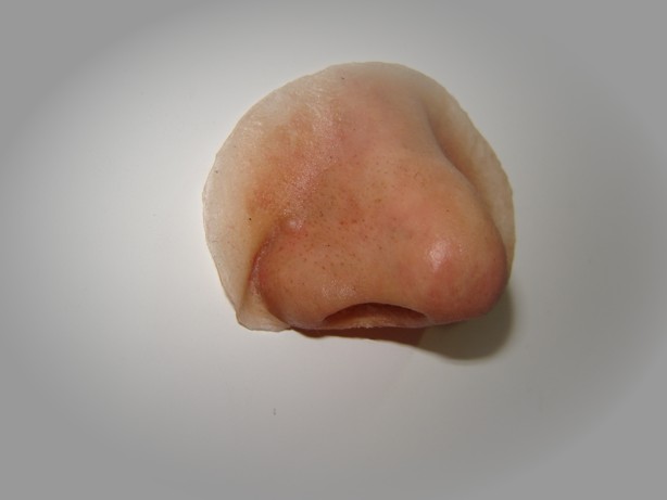 prosthetic nose